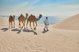 Katar yeni seyahat kurallarını duyurdu